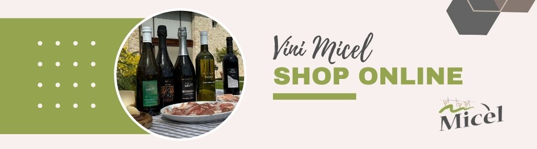 Vini Micel banner shoponline